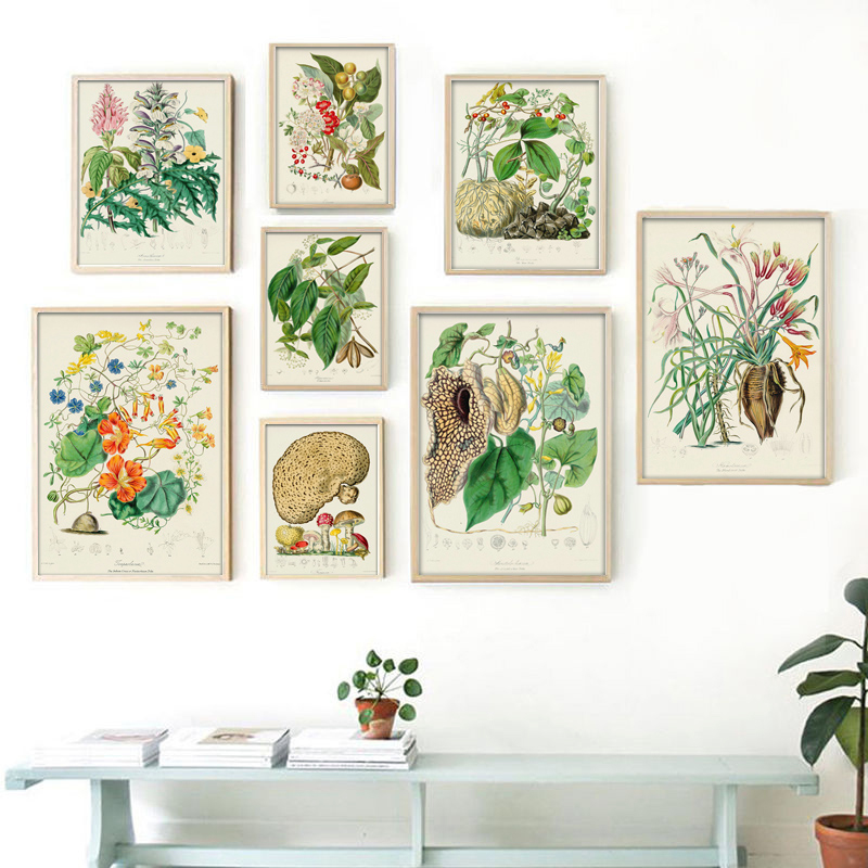 Botanical Collection Vintage P - Vintage Collectible Posters review and price